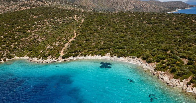 Orak island Boat Trip Bodrum - Who is This Tour Best Suited For?