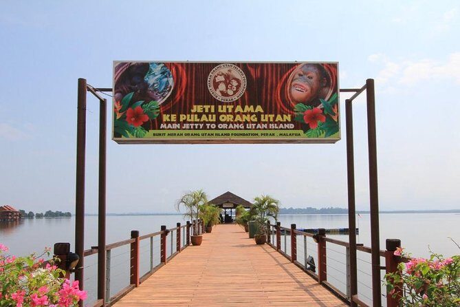 Orang Utan Island and Perak Tong Cave From Kuala Lumpur - Who Will Love This Tour?