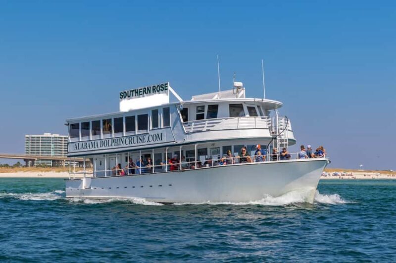 Orange Beach: Dolphin Cruise - Setting the Scene: Where and How
