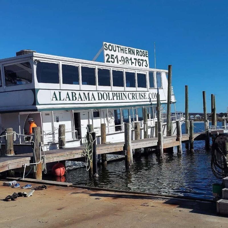 Orange Beach: Dolphin Cruise - Value for Money