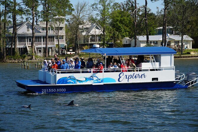 Orange Beach Dolphin Eco Boat Tour - An In-Depth Look at the Orange Beach Dolphin Eco Boat Tour