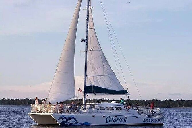 Orange Beach Dolphin Sailing Cruise aboard Catamaran - Final Thoughts