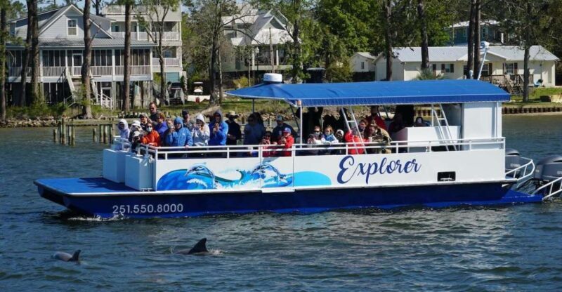 Orange Beach: Dolphin-Watching Eco-Boat Tour - The Real Value: Why This Tour is Worth It