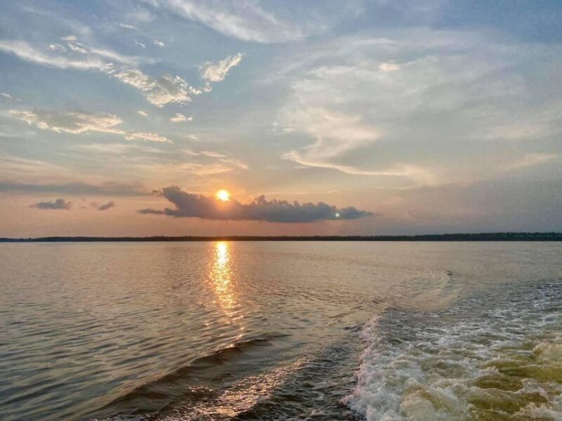 Orange Beach: Sunset Sailing Cruise Aboard The Cetacean - The Sum Up
