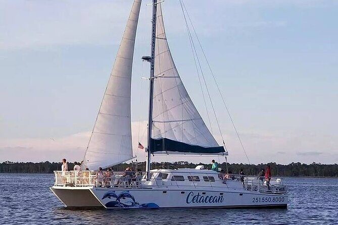 Orange Beach Sunset Sailing Cruise - Who Will Love This Tour?