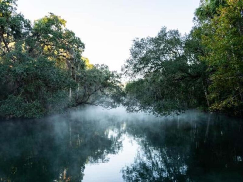 Orange City: Blue Spring State Park St. Johns River Cruise - A Closer Look at the Experience