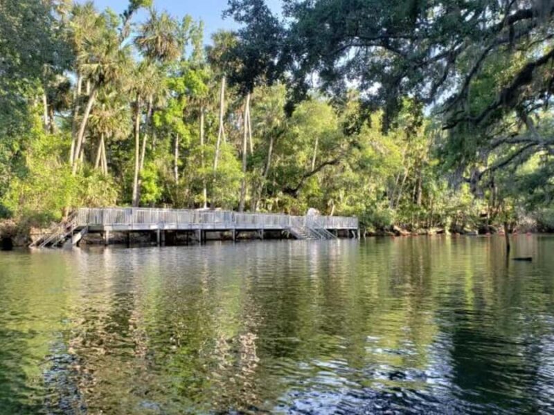 Orange City: Blue Spring State Park St. Johns River Cruise - Practical Tips for Your Trip