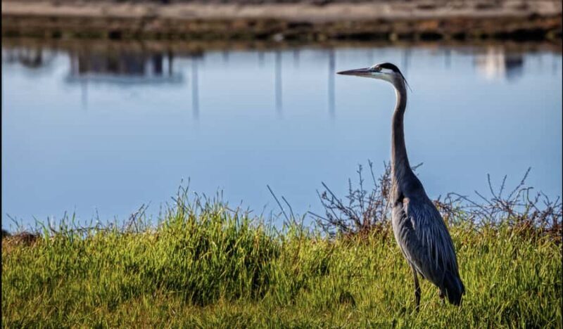 Orange County: Hike and Bike Day Tour - A Detailed Look at the Orange County Hike and Bike Tour
