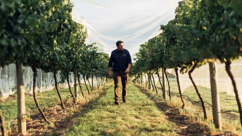 Orange: Explore with Swinging Bridge - Guided Tour & Tasting - FAQ