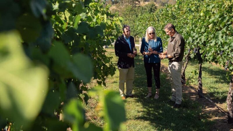 Orange: Indulge with Swinging Bridge - 5-Course Lunch & Tour - Key Points