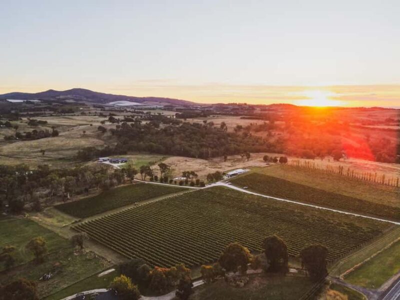 Orange: Savour with Swinging Bridge - Wine & Canapé Tasting - Key Points