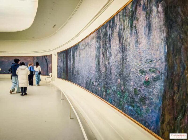 Orangerie Museum Entry Tickets and Private Guided Tour - Exploring the Musée de lOrangerie with a Private Guided Tour