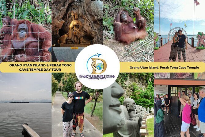 Orangutan Island & Perak Tong Cave Temple Tour from Kuala Lumpur - Key Points