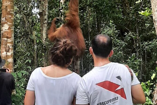 Orangutan Tanjung Puting Honeymoon CoupleTour - Key Points