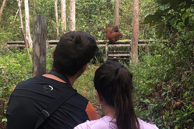 Orangutan Tanjung Puting Honeymoon CoupleTour - Arrivals and First Impressions
