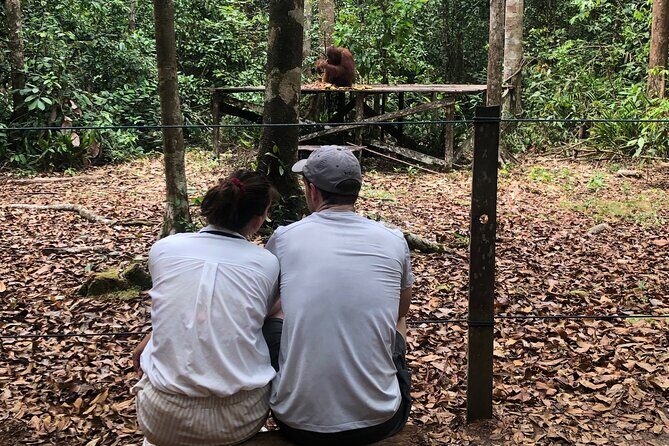 Orangutan Tanjung Puting Honeymoon CoupleTour - Wildlife Encounters and Rainforest Trekking