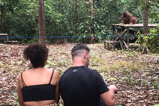 Orangutan Tanjung Puting Honeymoon CoupleTour - Authenticity and Value