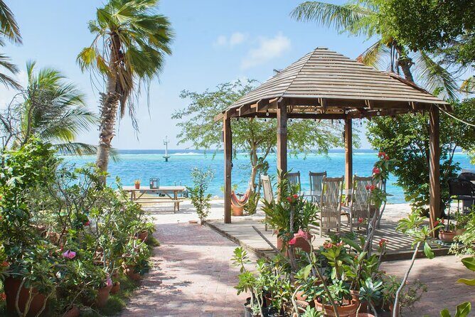 Oranjestad AUA Airport Transfer to Oranjestad/Noord/Cura Cabai - Why Choose This Transfer?