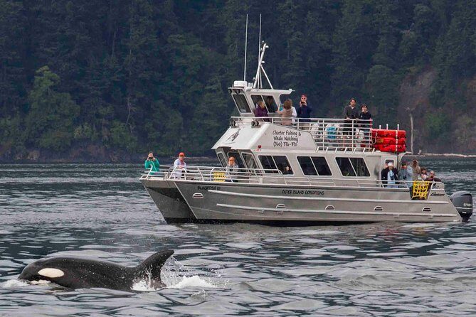Orcas Island Whale Watching - Key Points