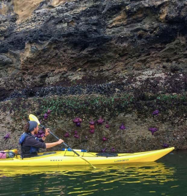 Orcas Island: Wildlife Spotting Kayak Tour - The Paddling Experience and Scenery
