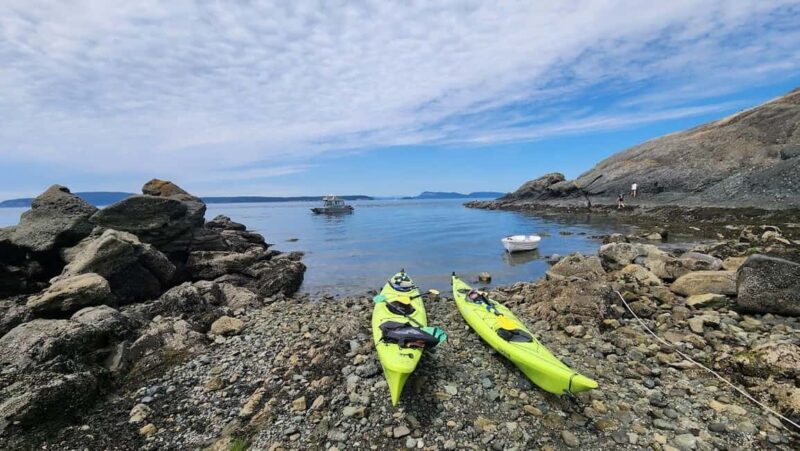 Orcas Island: Wildlife Spotting Kayak Tour - Who Should Consider This Tour?