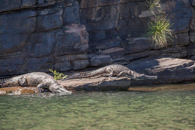 Ord River Discoverer Cruise with Sunset - Final Thoughts