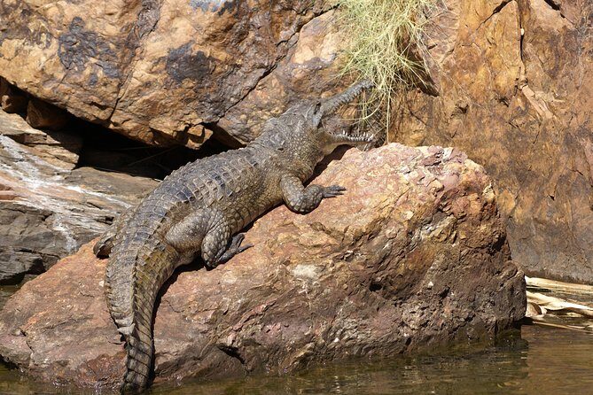 Ord River Explorer Cruise with Sunset - Who Will Appreciate This Tour?