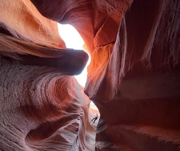Orderville: Rappelling Slot Canyon and UTV Tour - An In-Depth Look at the Experience