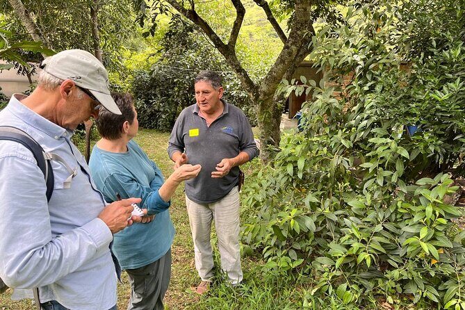 Organic Coffee Farm Tour - Who Will Love This Tour?