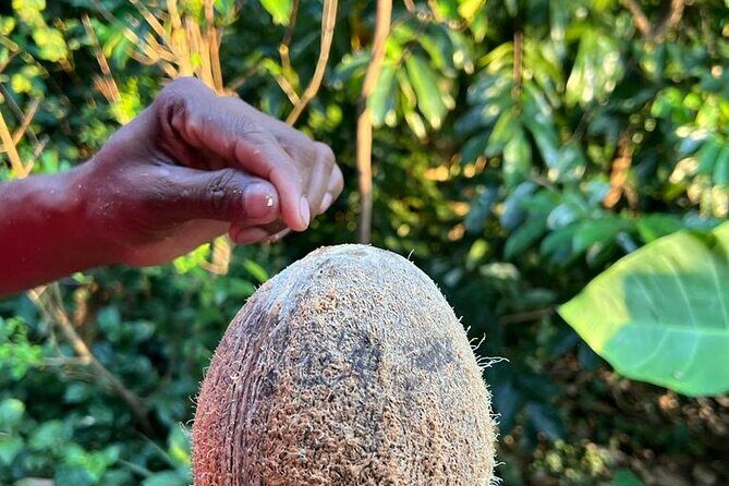 Organic cooking class sigiriya (kumara & family) - Who is This Tour For?