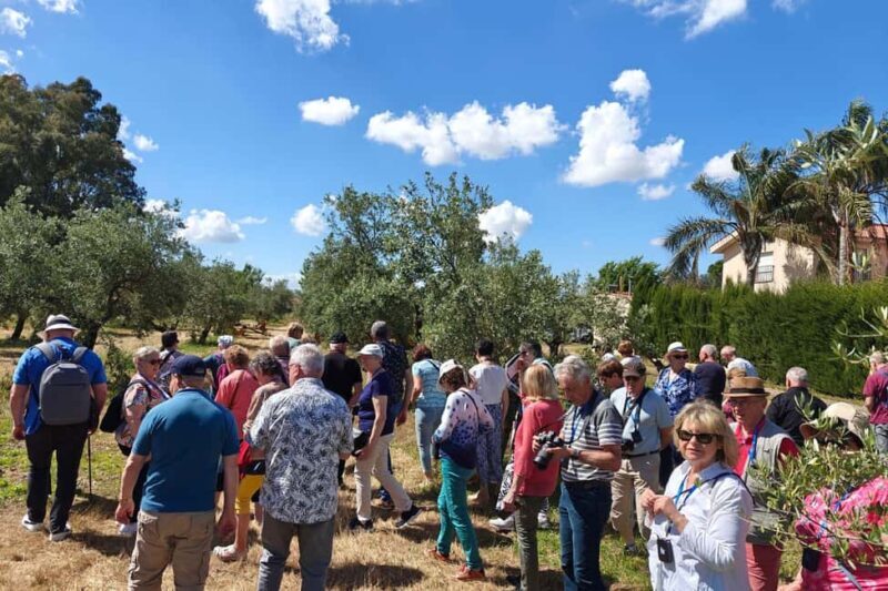 Organic olive oil tasting and visit to a family olive grove with fruit and a gift - FAQ