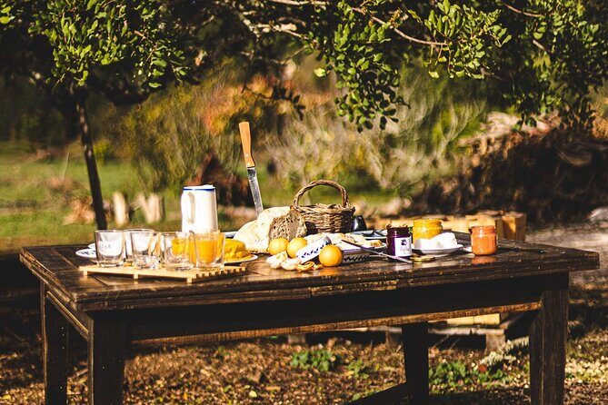Organic Orange Picking & Jam Making with Farm-to-Table Lunch - Is This Tour Worth the Price?
