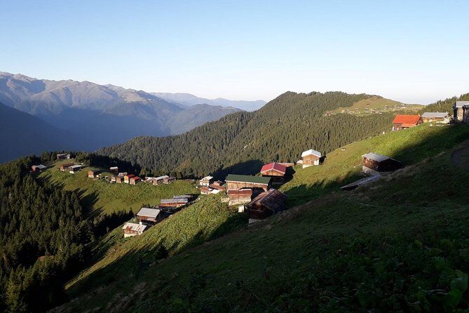 Organic Pokut Tour - An Authentic Journey to the Black Sea Highlands