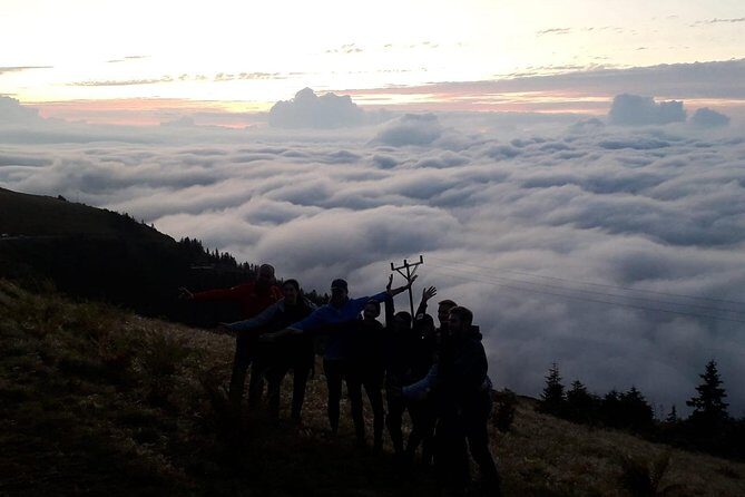 Organic Pokut Tour - Key Points