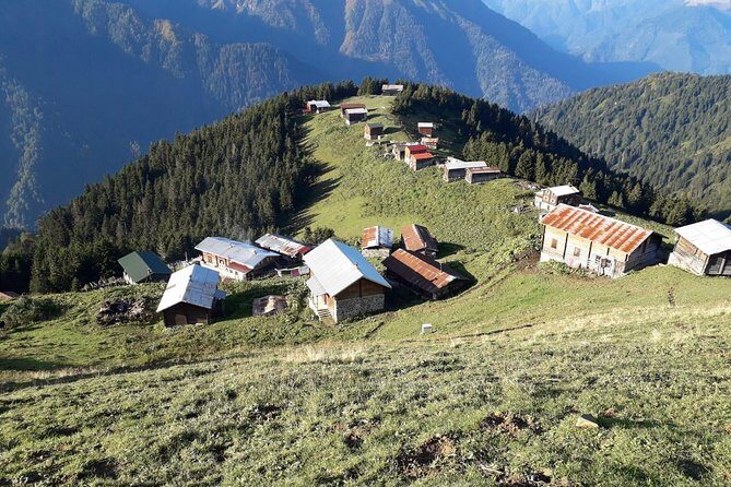 Organic Pokut Tour - Frequently Asked Questions