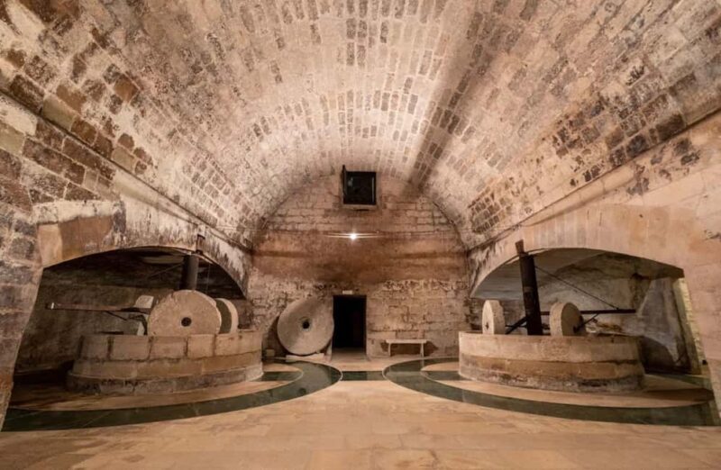 Organic Wine and Olive Oil Tasting Experience near Lecce - Key Points