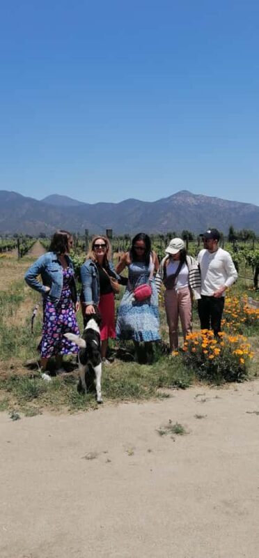 Organic wine route traditional chilean lunch and Valparaiso - Discover the Charm of Chile’s Organic Wineries and Vibrant Valparaiso