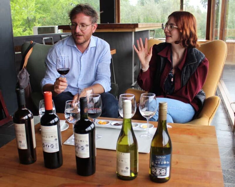 Organic wine route traditional chilean lunch and Valparaiso - The Itinerary in Detail