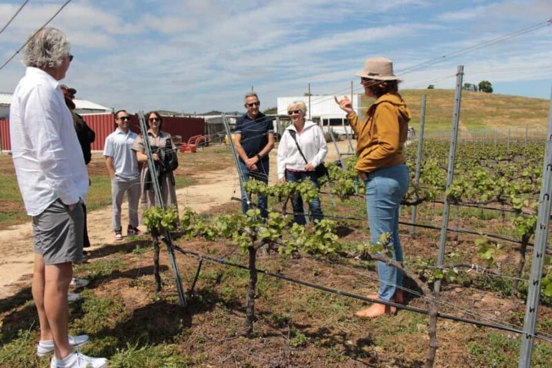 Organic wine route traditional chilean lunch and Valparaiso - Why This Tour Works Well for Travelers