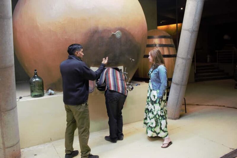 Organic wine route traditional chilean lunch and Valparaiso - The Sum Up: Who is This Tour Best For?