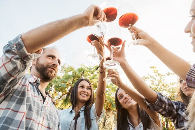 Organic Wine Tasting in Kefalonia - Key Points