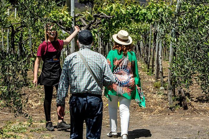 Organic Wine Tasting & Lunch Experience on Mt Vesuvius - Frequently Asked Questions