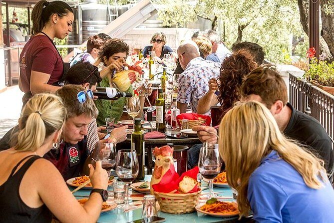 Organic Wine Tasting & Lunch on Vesuvius with Transfer from Sorrento Peninsula - Final Thoughts