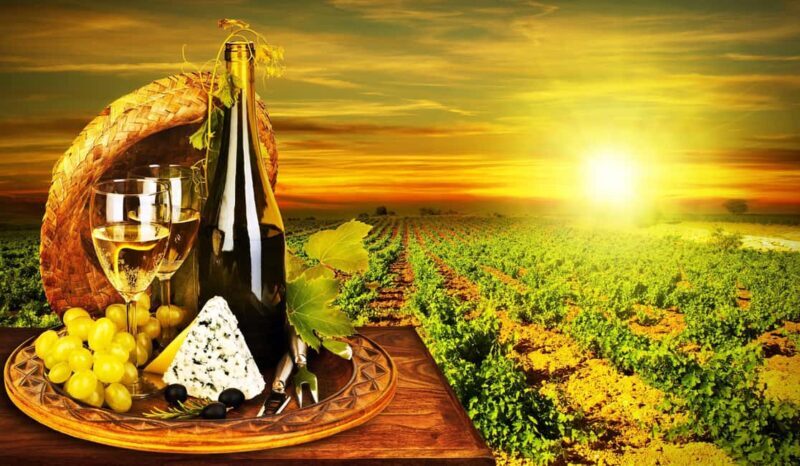 Organic Wine Tasting with Saint paul Half Day Tour from Nice - Key Points