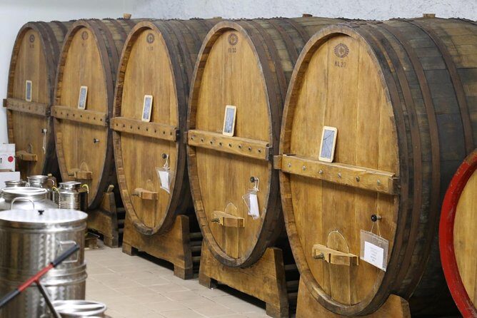 Organic Winery tour with Full Lunch from Assisi - Who Will Love This Tour?