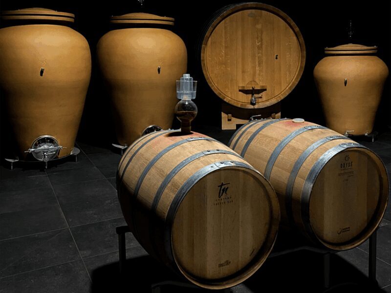 Organic Winery Visit near Turin with Wine & Food Tasting - Exploring the Winery and Its Heritage