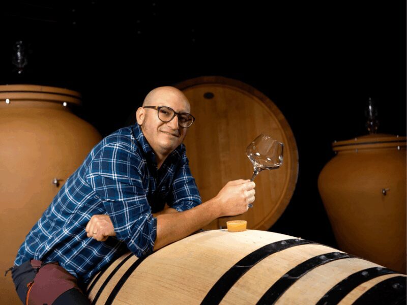 Organic Winery Visit near Turin with Wine & Food Tasting - The Vineyard Walk and Sustainable Practices