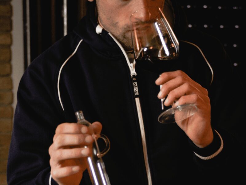 Organic Winery Visit & Wine Tasting with Food in Pavia - Key Points