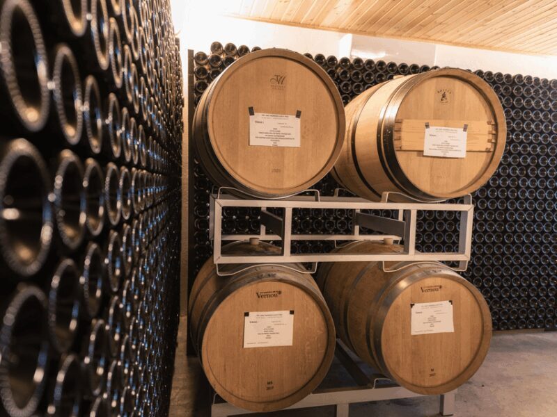 Organic Winery Visit & Wine Tasting with Food in Pavia - What Makes This Experience Stand Out