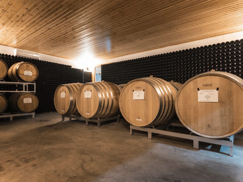 Organic Winery Visit & Wine Tasting with Food in Pavia - Final Thoughts: Who Is This Tour Best For?